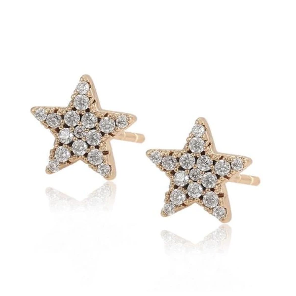 Vieon Star Stud Earring