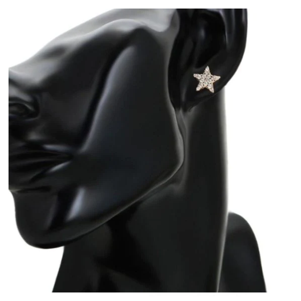 Vieon Star Stud Earring